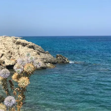 With Terrace Lapithos (Northern Cyprus)
